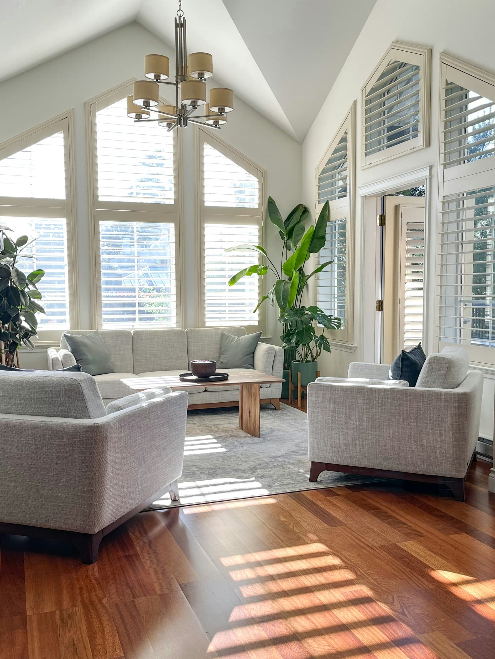 Living-room plant remedy example